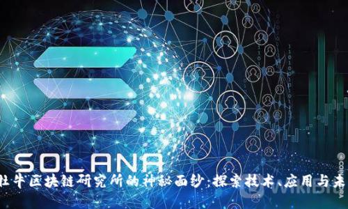  揭开牡牛区块链研究所的神秘面纱：探索技术、应用与未来前景