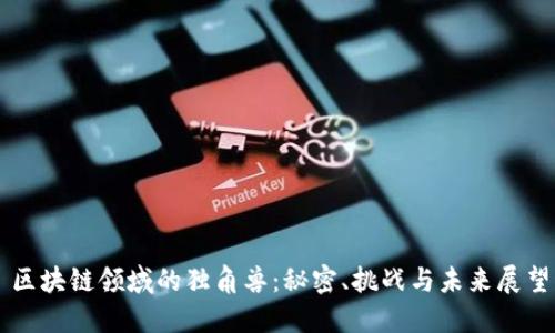 区块链领域的独角兽：秘密、挑战与未来展望