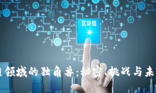 区块链领域的独角兽：秘密、挑战与未来展望
