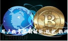 区块链用户数量限制解析：现状、挑战与未来