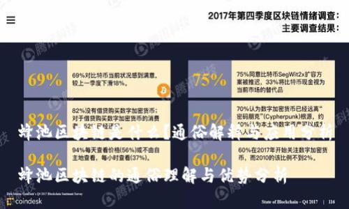 蜂池区块链是什么？通俗解释与应用分析

蜂池区块链的通俗理解与优势分析