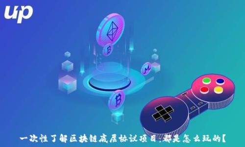  
一次性了解区块链底层协议项目：都是怎么玩的？