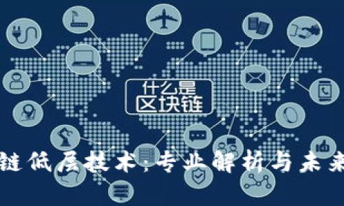 区块链低层技术：专业解析与未来前景