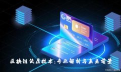 区块链低层技术：专业解析与未来前景