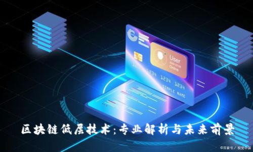 区块链低层技术：专业解析与未来前景