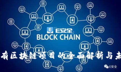 屏蔽所有区块链项目的全面解析与未来展望