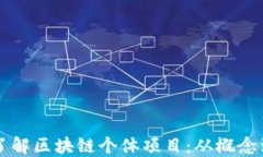 深入了解区块链个体项目：从概念到实践