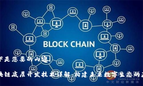 以下是您要的内容：

区块链底层开发技术详解：构建未来数字生态的基石