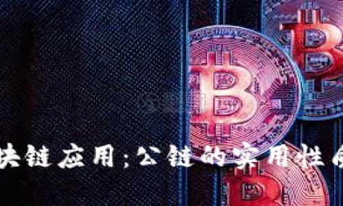 深入解读区块链应用：公链的实用性质与未来发展