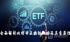 全面解析比特币区块链地址及其重要性