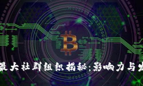 区块链最大社群组织揭秘：影响力与发展动态