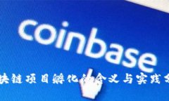 区块链项目孵化的含义与实践分析