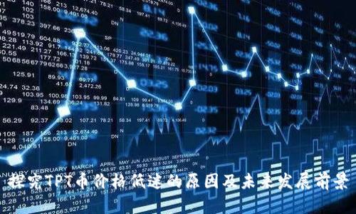 探究TPT币价格低迷的原因及未来发展前景