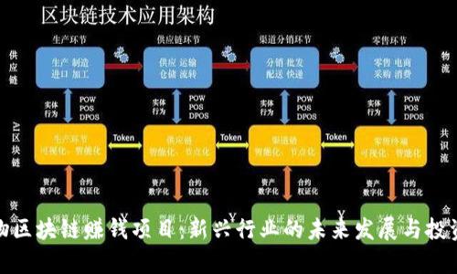 养宠物区块链赚钱项目：新兴行业的未来发展与投资机会