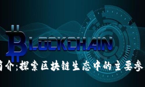 区块链竞争者简介：探索区块链生态中的主要参与者与竞争关系