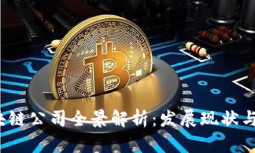  长沙区块链公司全景解析：发展现状与未来趋势