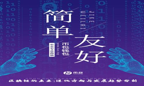 区块链的未来：进化方向与发展趋势分析