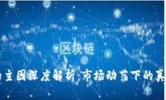 区块链暴跌的主因深度解析：市场动荡下的真相