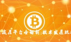 : 国内区块链底层平台全解析：技术发展现状与未