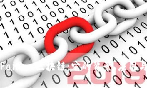 深入解析Paninu区块链：它的背景、应用与未来趋势