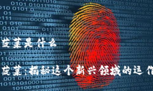 区块链菠菜是什么

区块链菠菜：揭秘这个新兴领域的运作与未来