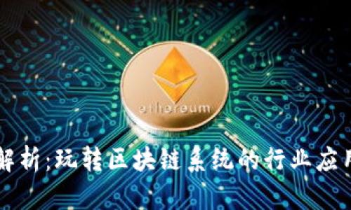 ### 深入解析：玩转区块链系统的行业应用与未来前景