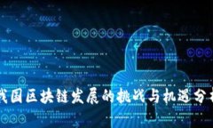 我国区块链发展的挑战与机遇分析