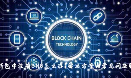 TP钱包中没有BNB怎么办？解决方案与常见问题解析