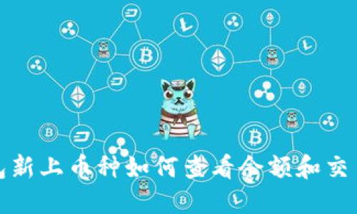 TP钱包新上币种如何查看余额和交易金额