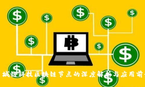 : 城链科技区块链节点的深度解析与应用前景