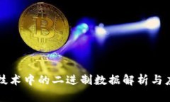 区块链技术中的二进制数据解析与应用详解