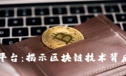 区块链检查平台：揭示区块链技术背后的透明机制