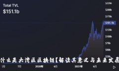 什么是大湾区区块链？解读其意义与未来发展