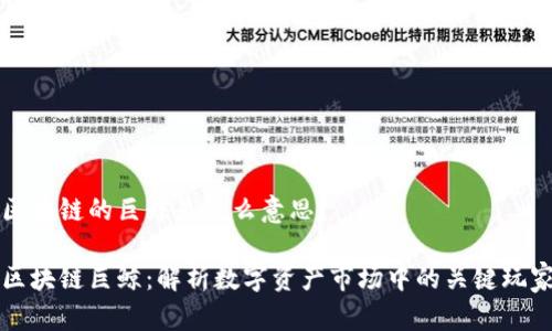 区块链的巨鲸是什么意思？

区块链巨鲸：解析数字资产市场中的关键玩家
