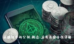 区块链中的公钥：概念、应用与安全性详解