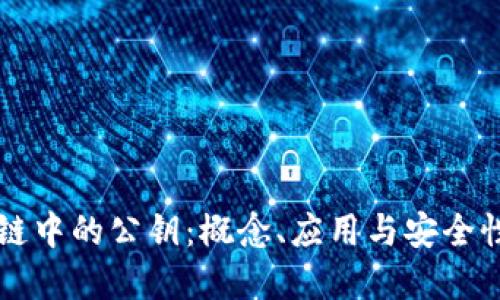 区块链中的公钥：概念、应用与安全性详解