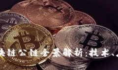 中国的区块链公链全景解析：技术、应用与未来