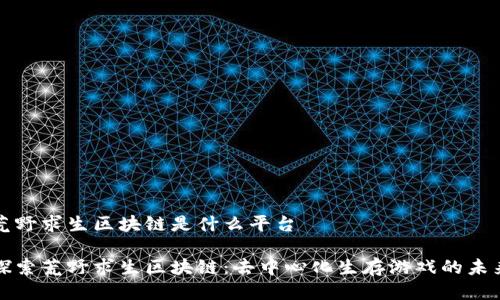 荒野求生区块链是什么平台 

探索荒野求生区块链：去中心化生存游戏的未来
