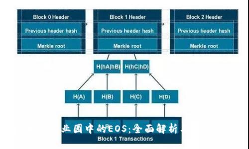 区块链产业园中的EOS：全面解析与未来发展