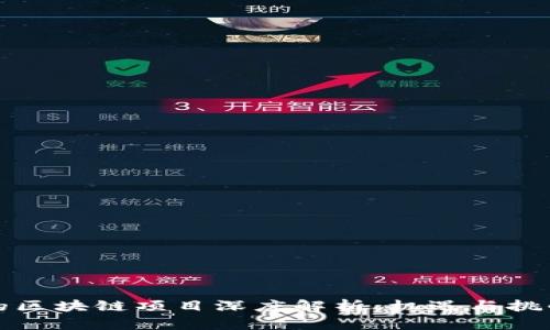 新出的区块链项目深度解析：机遇与挑战并存