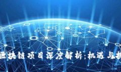 新出的区块链项目深度解析：机遇与挑战并存