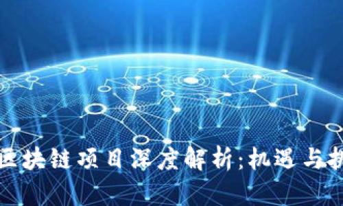 新出的区块链项目深度解析：机遇与挑战并存