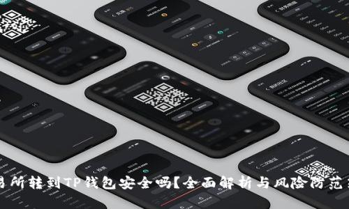 交易所转到TP钱包安全吗？全面解析与风险防范策略