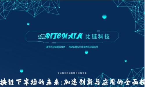 
区块链下半场的未来：加速创新与应用的全面探讨