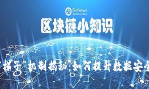 区块链中的“梯子”机制揭秘：如何提升数据安全与可扩展性