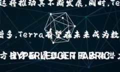 从2021年开始，Terra区块链逐渐进入了人们的视野