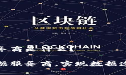 区块链大数据服务商是什么？

盘点区块链大数据服务商，实现数据透明化与信任构建