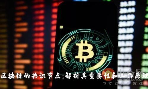 区块链的共识节点：解析其重要性和工作原理