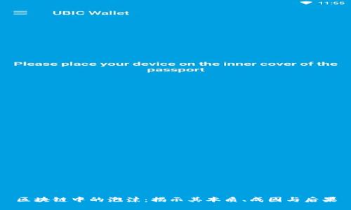 区块链中的泡沫：揭示其本质、成因与后果