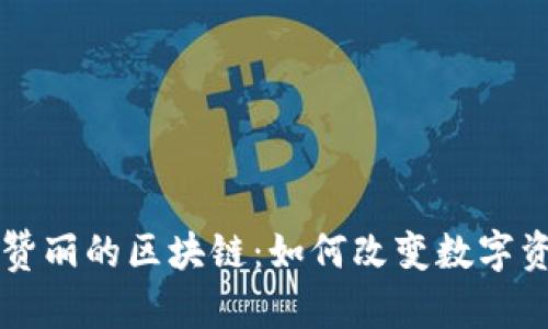 深入了解赞丽的区块链：如何改变数字资产的未来